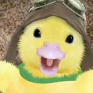 Meet your Posher, Surf Kaburf